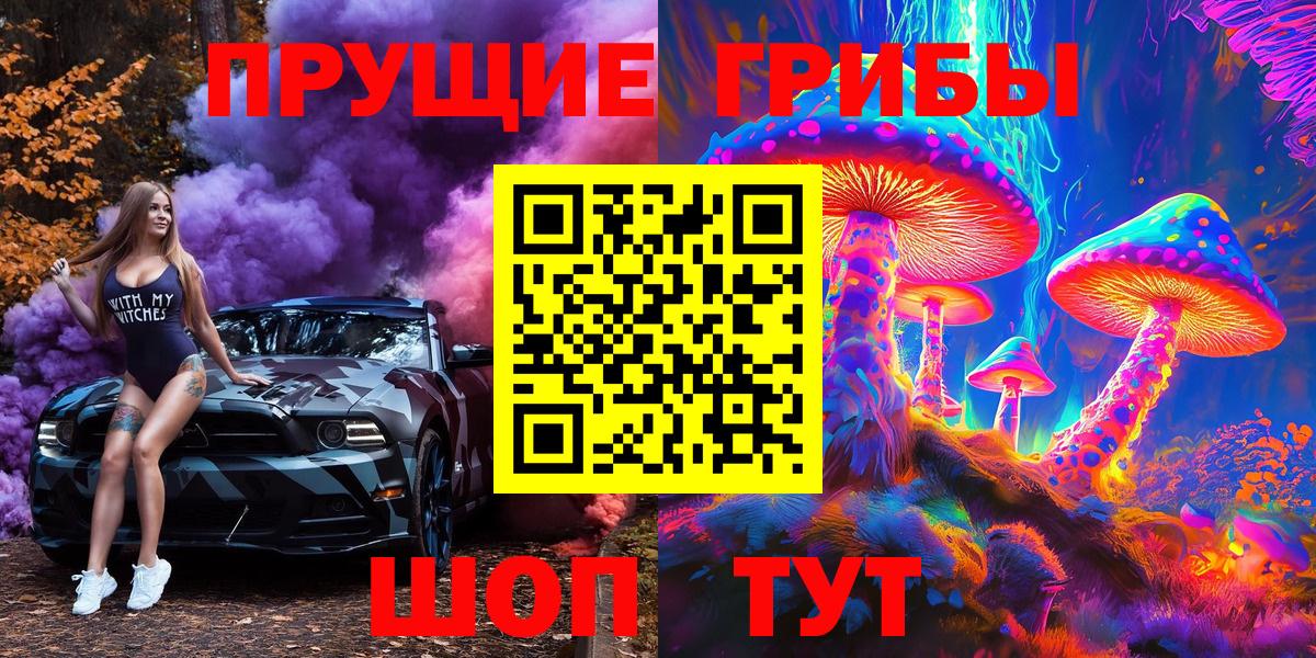 Якутск  наркота  Вход с VPN  Галлюциногенные грибы GOLDEN TEACHER 