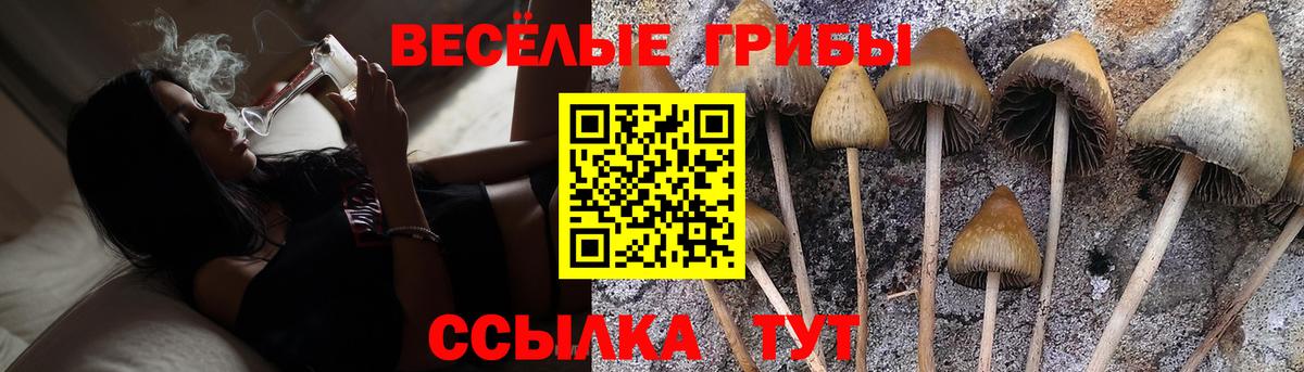 Псилоцибиновые грибы Magic Shrooms Якутск